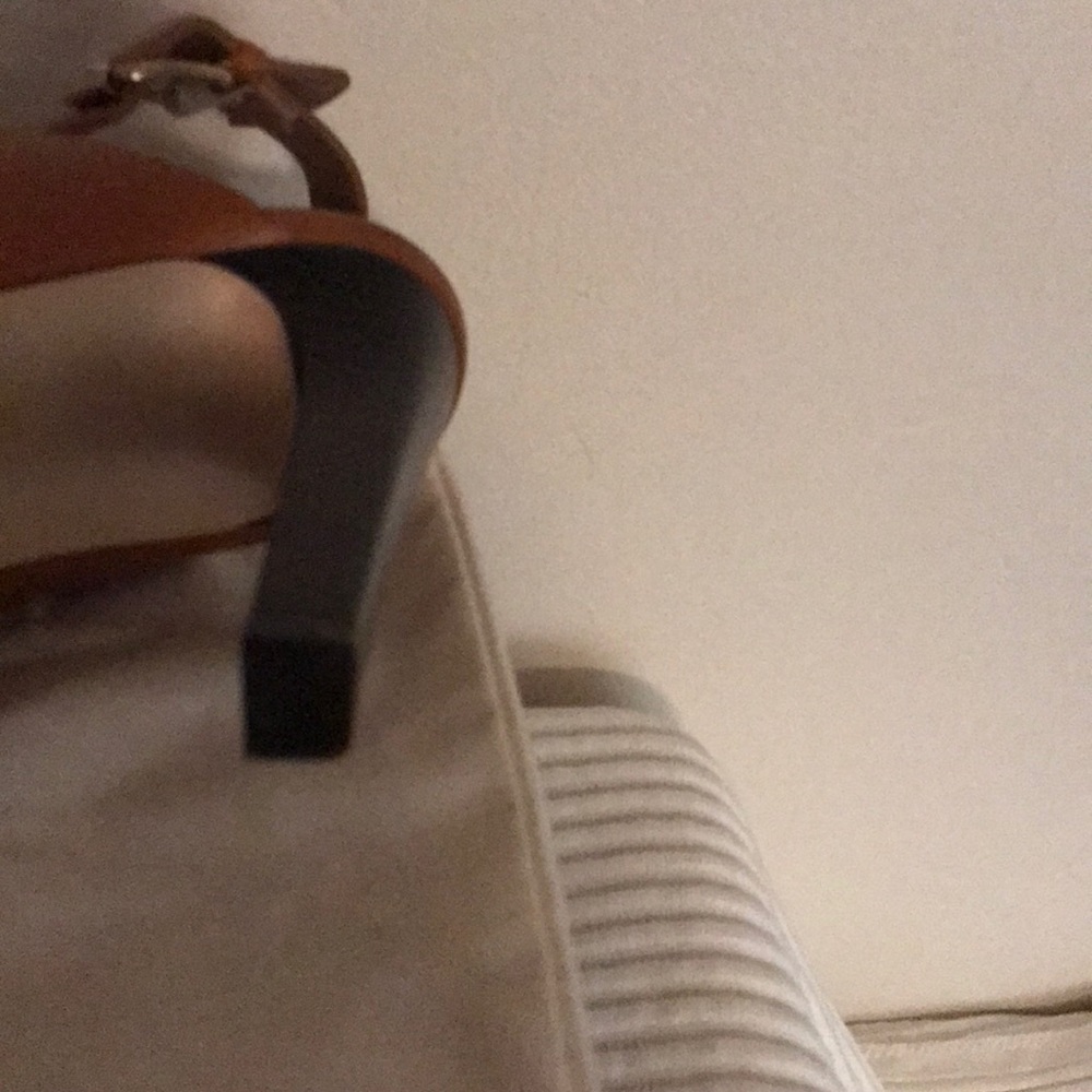 BCBG- Pascal - Picture 4 of 5